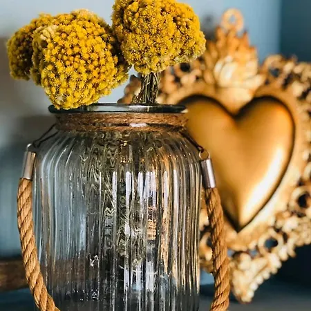 Palm 4* 아작시오