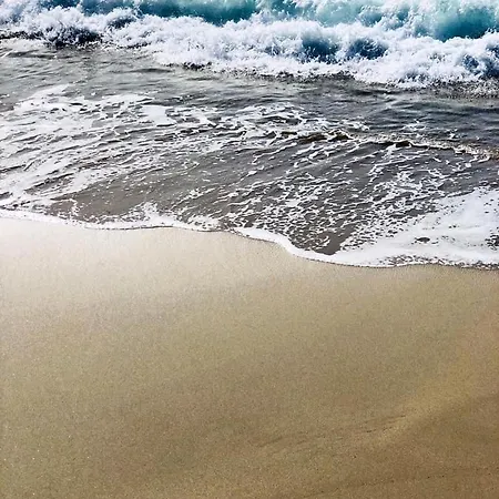 호텔 Palm 아작시오