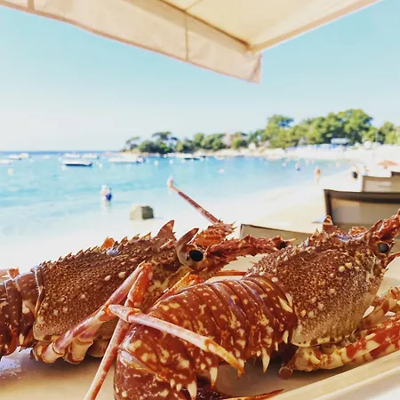 Palm 호텔 아작시오