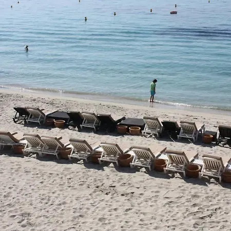 Palm 호텔 아작시오