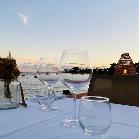 Hotell Palm Ajaccio (Corsica)