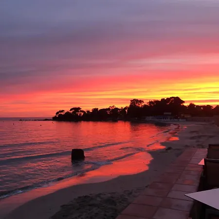 Palm Hotel Ajaccio (Corsica)