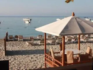 Palm Hotel