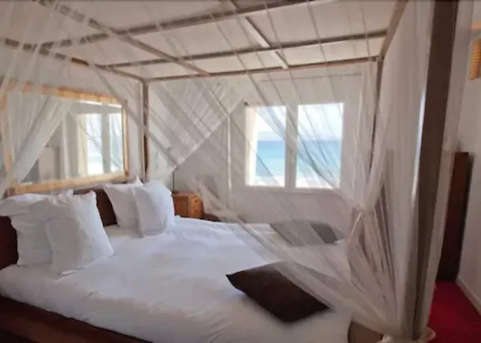 Palm Hotel Ajaccio (Corsica)