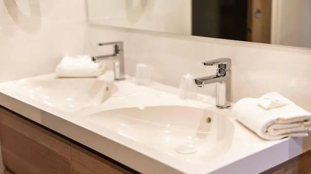 Palm אז'אקסיו