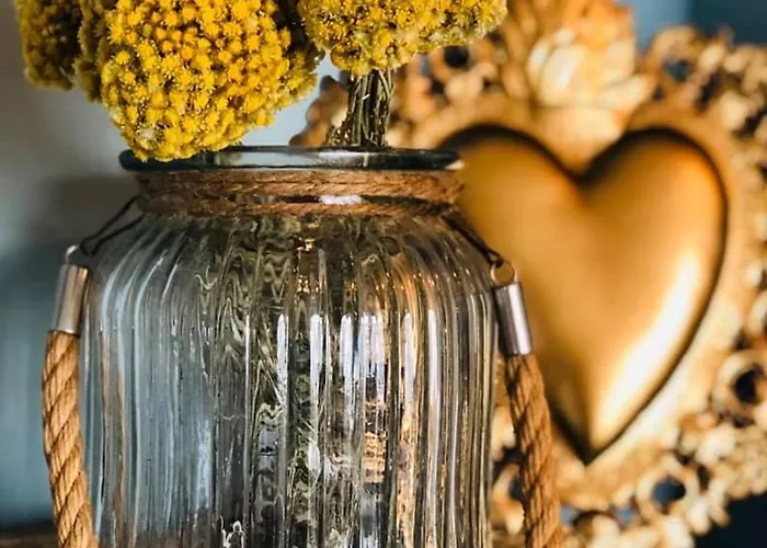 Palm 4* אז'אקסיו