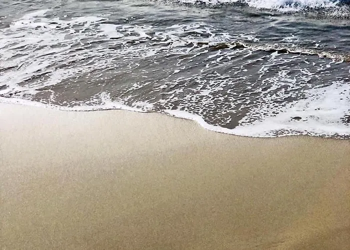 מלון Palm אז'אקסיו