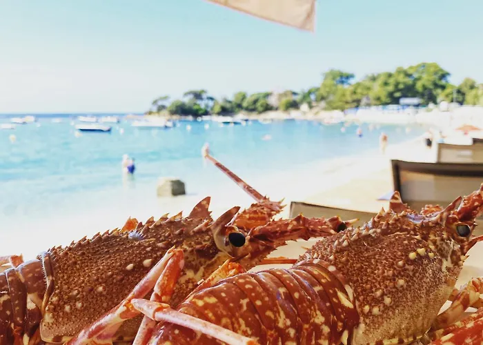 Palm מלון אז'אקסיו