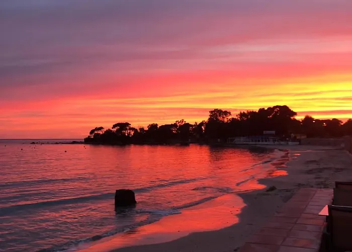 Palm Hotel Ajaccio (Corsica)