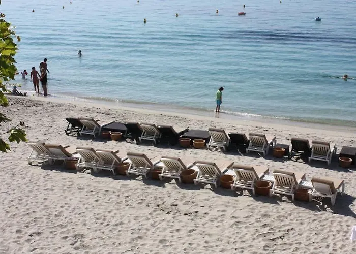 Palm מלון אז'אקסיו